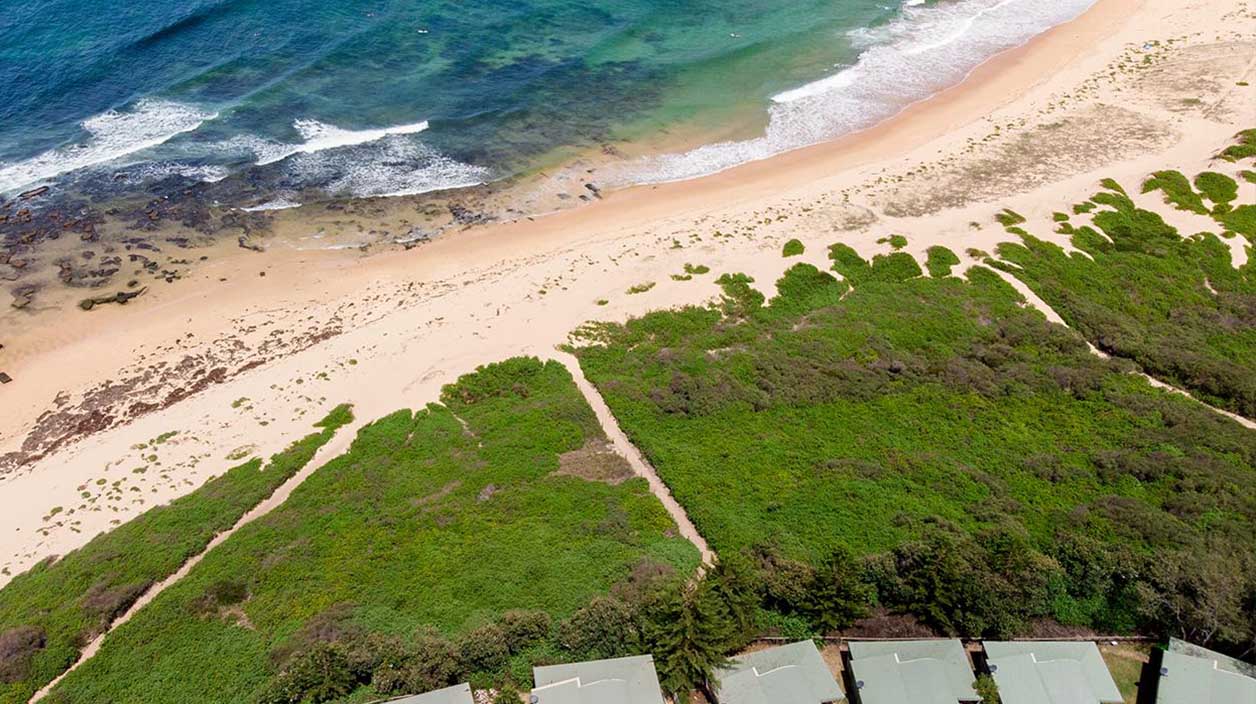 Aerial of NRMA Toowoon Bay Holiday Park
