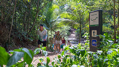 Conway National Park