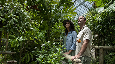 Plants Cairns, credit: Tourism and Events Queensland