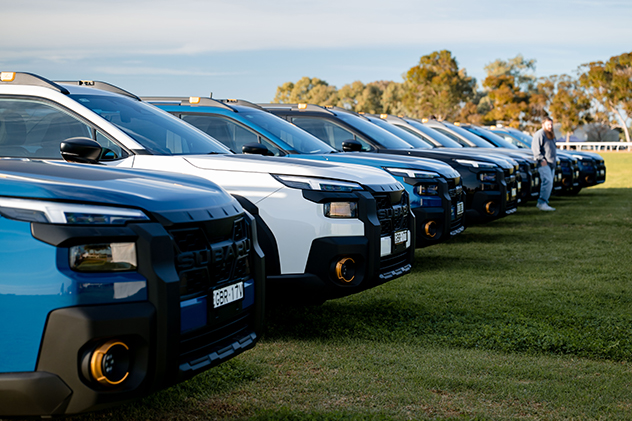 A row of Subaru Outback Wilderness