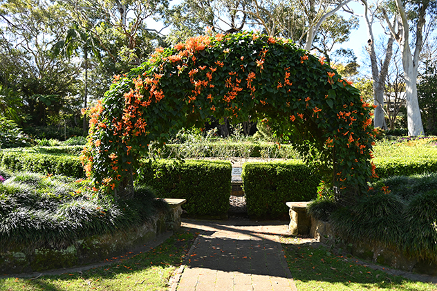 Archway at Camellia Gardens