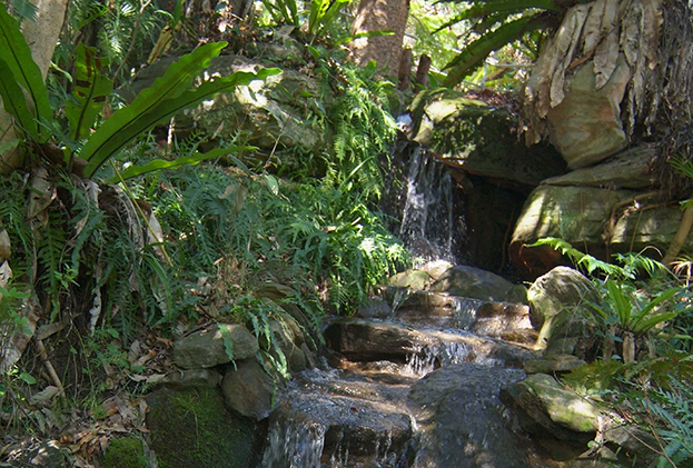 Stony Range Botanic Garden