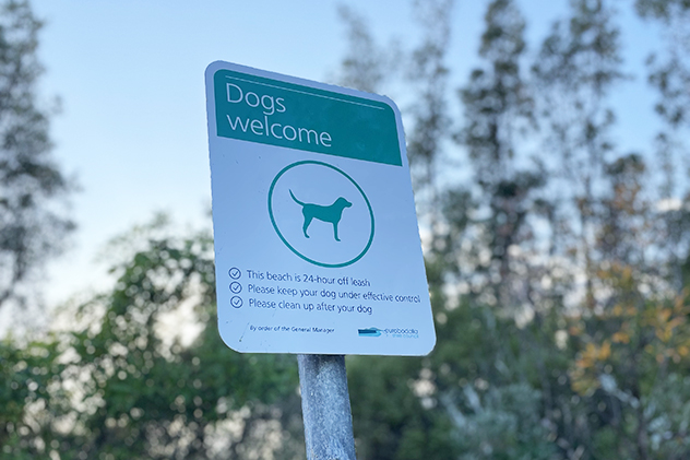 A green sign that says dogs are welcome