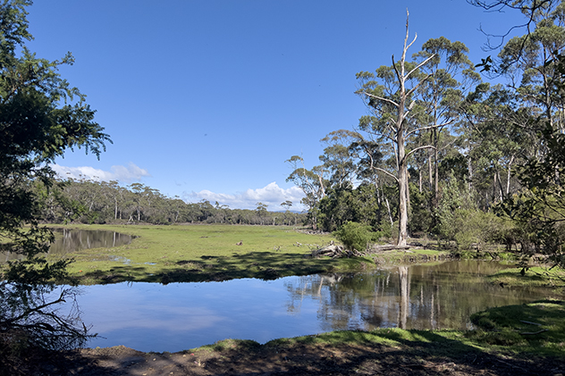 Lagoon after rain on Maria Island in Tasmania