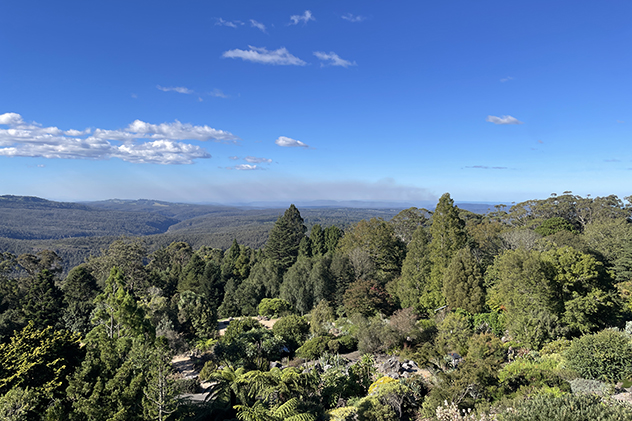Botanic gardens with smoke on the horizon