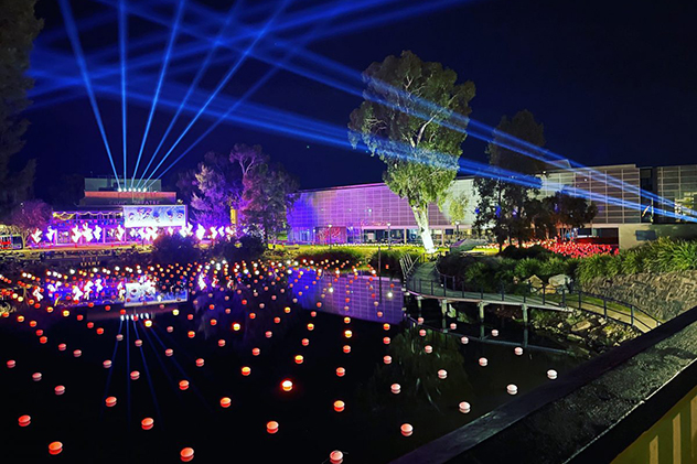 Light show at the Festival of Wagga