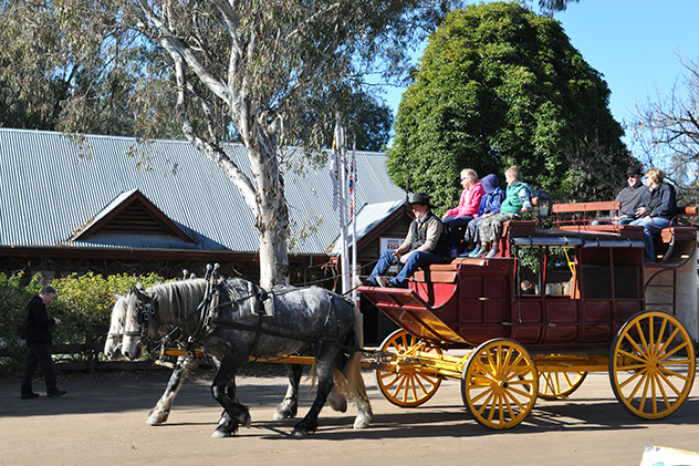 Horse and carriage in Echuca