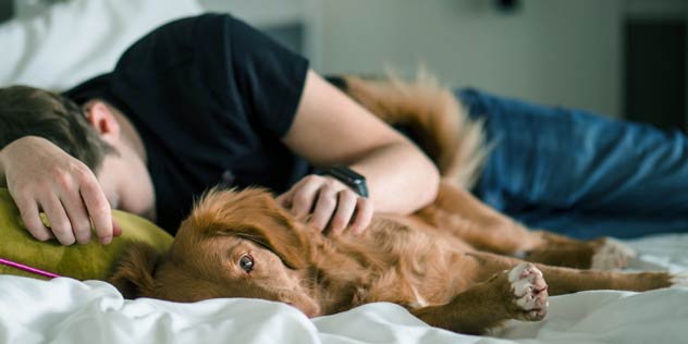 A person sleeping on a bed fully clothed with their dog