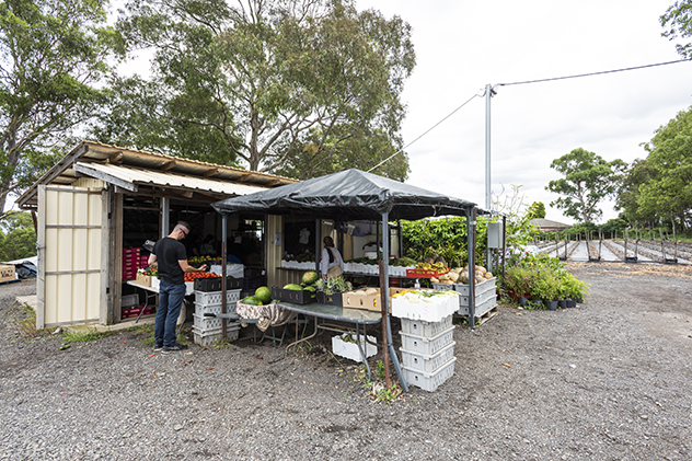 Urban farm in Western Sydney Parklands
