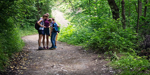 three people  walking along a nature trail