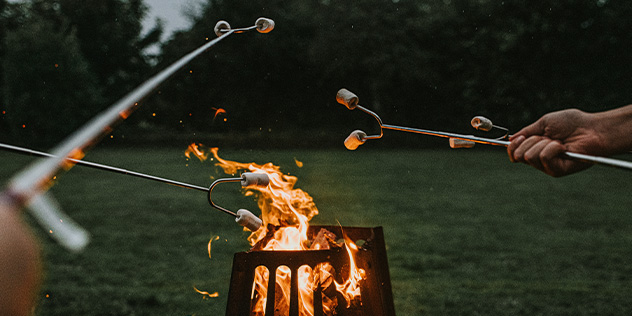 marshmallows on sticks over a fire