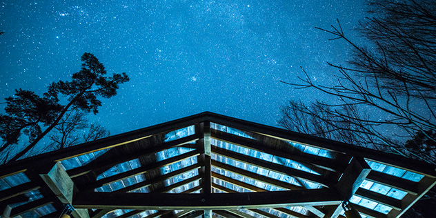 a night sky full of stars