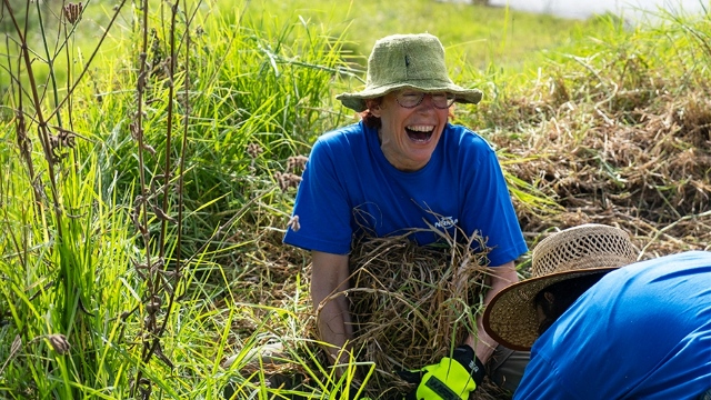 A young lady sitting in a field, having a good laugh with a heap of hay on her lap.