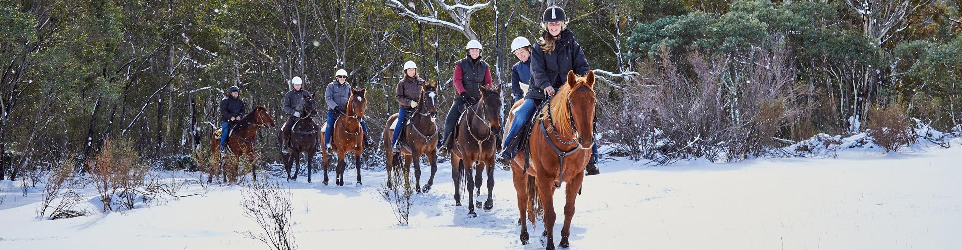 A train of horses with riders file out of the Thredbo bushland on a snowy day