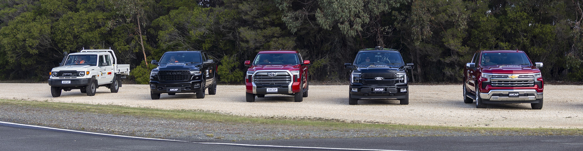 A line of pickup trucks near bush.