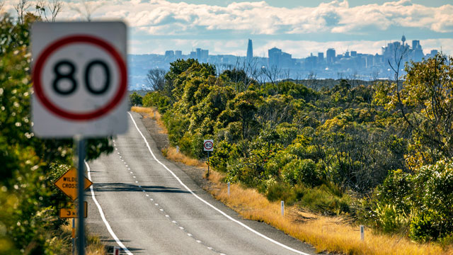 Empty road in forest, urban city skyline, 80km speed limit sign