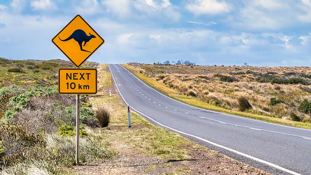 Animal crossing sign on a remote country road"