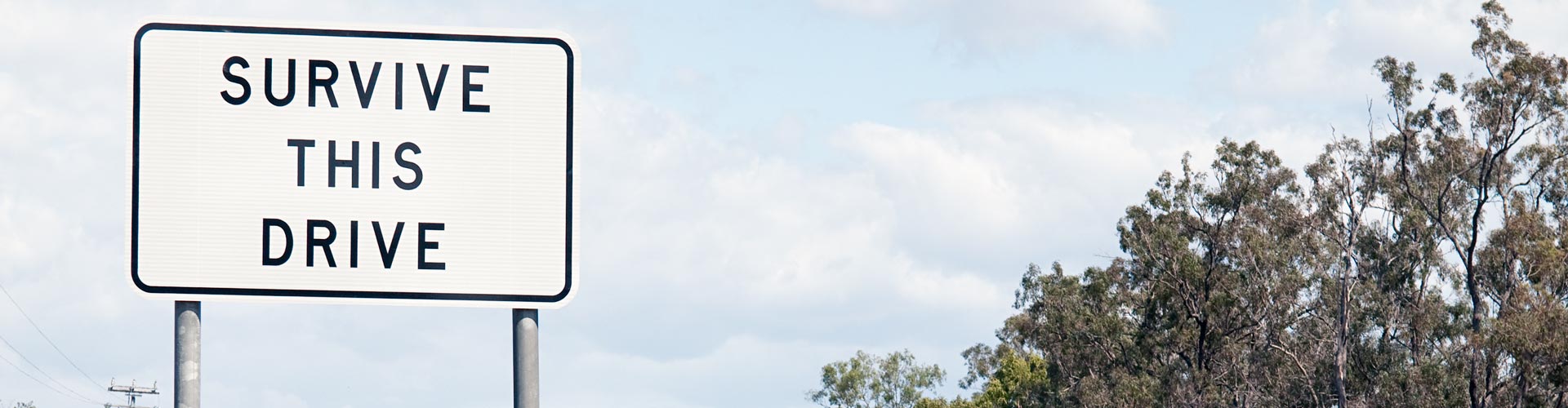 White road sign with the words "survive this drive"