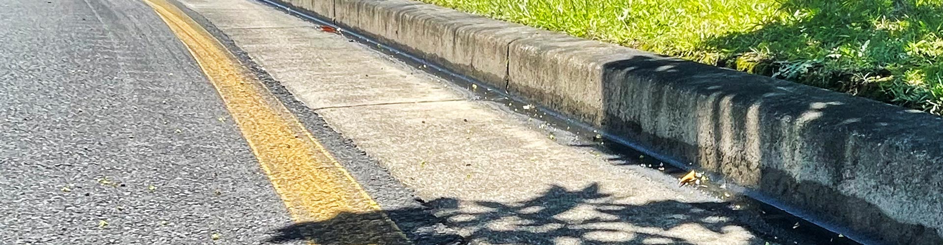 An unbroken yellow line on the side of a suburban road