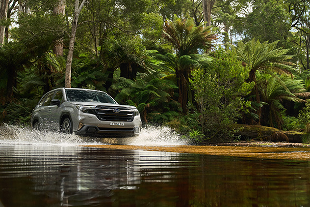 2025 Subaru Forester driving through water (Hybrid touring model)