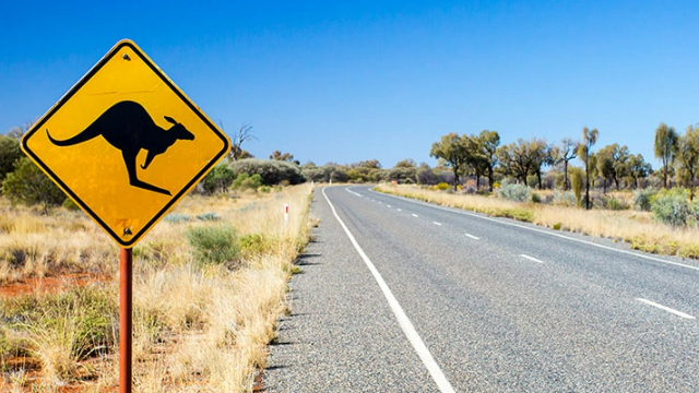 A kangaroo road sign on a flat, remote country road