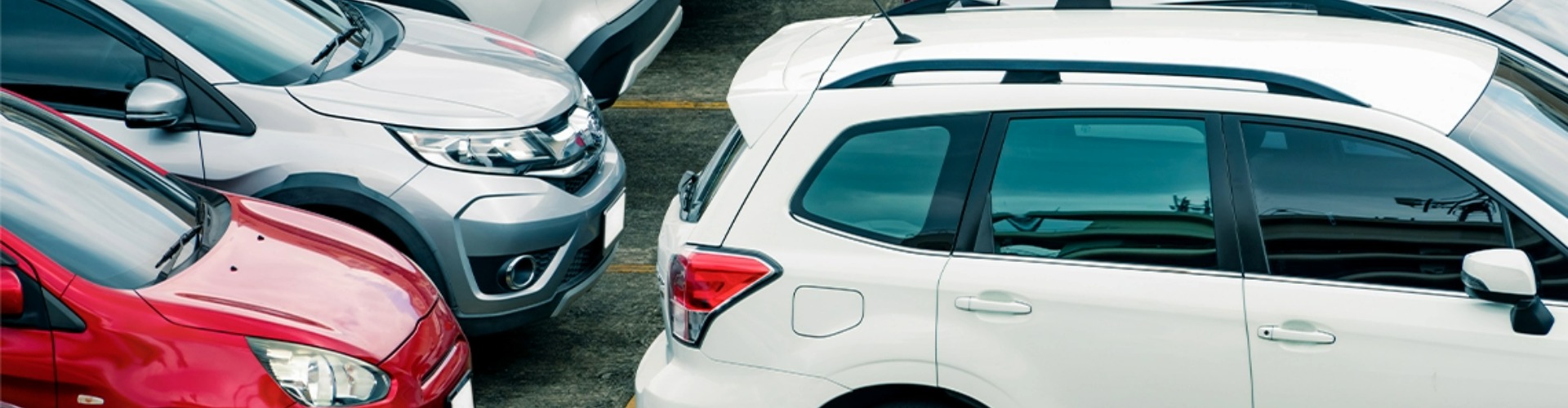 Two rows of various car models parked in in a line in parking spaces.