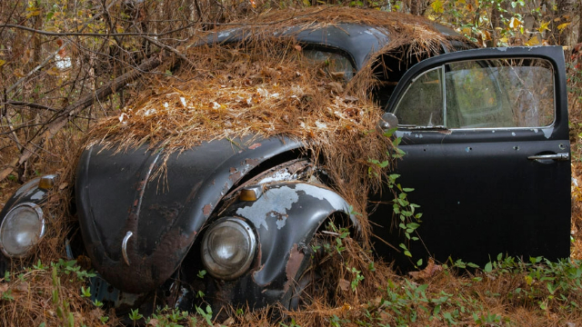 An abandoned Volkswagen Beetle
