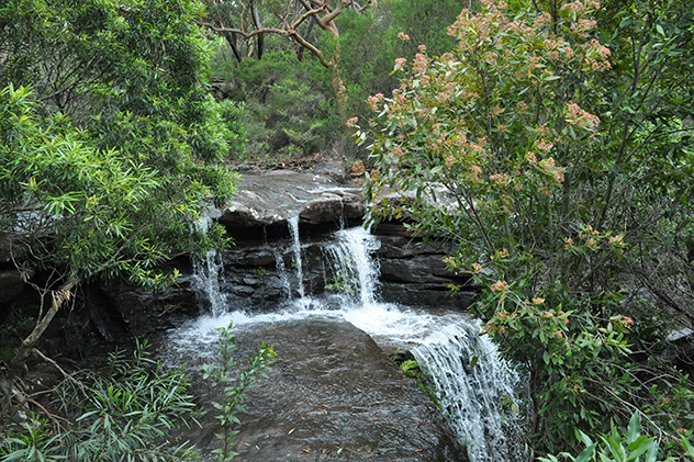 National Falls in the Royal National Park