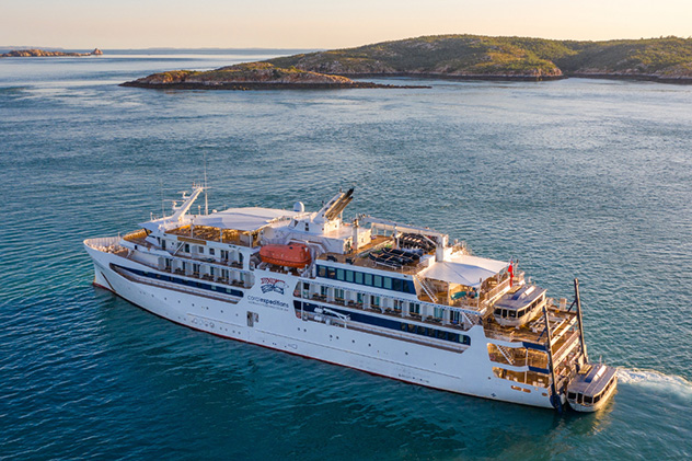 The Coral Adventurer