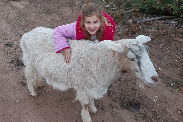 Girl hugging a sheep at Old Minton Farmstay