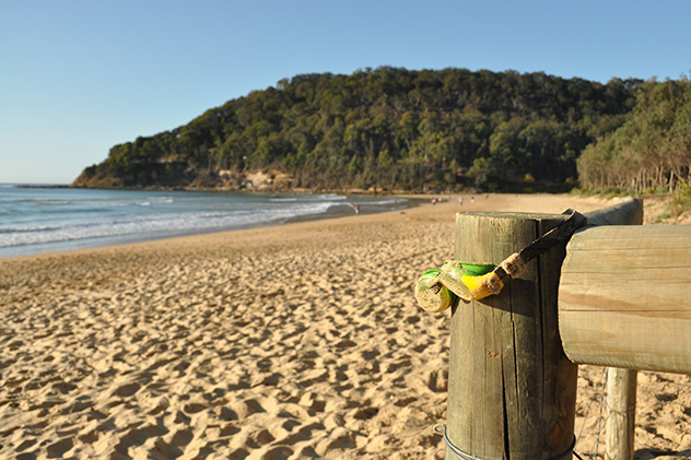Umina Beach near NRMA Ocean Beach Holiday Resort