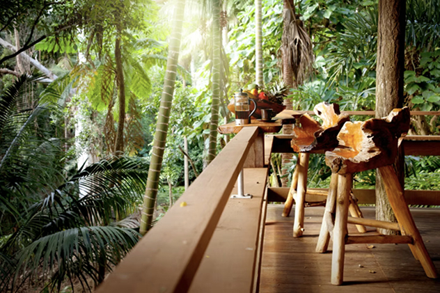 Ananda Rainforest Treehouse, Currumbin, Queensland