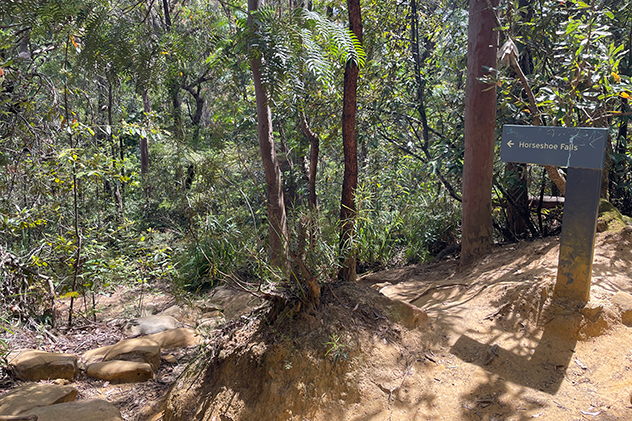 Sign pointing to Horseshoe Falls in the Blue Mountains.