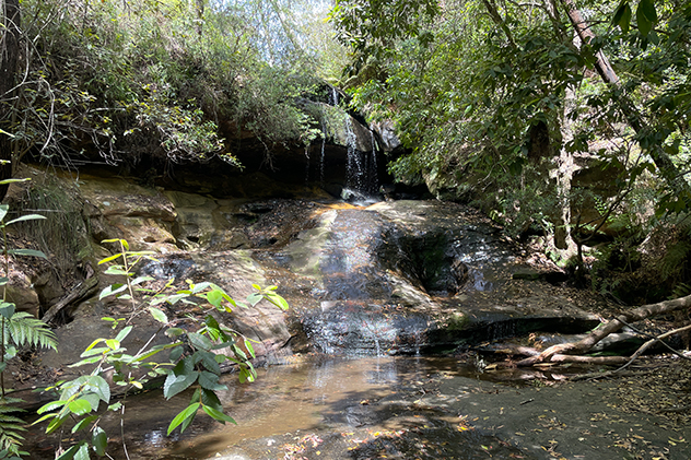 Horseshoe Falls in the Blue Mountains.