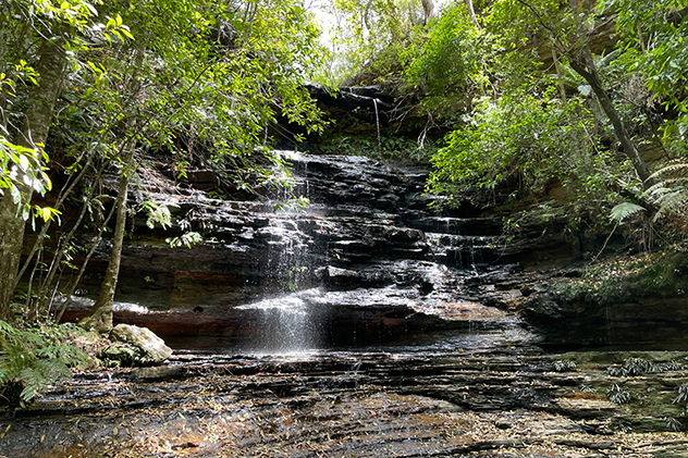 Junction Falls in the Blue Mountains.