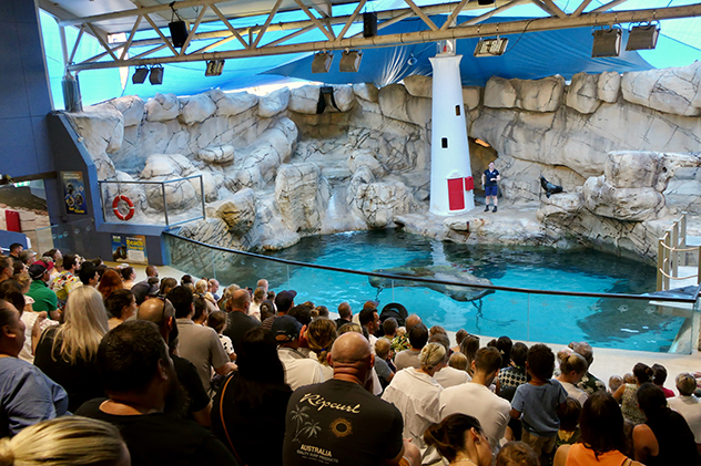 Sea Life Show, Queensland
