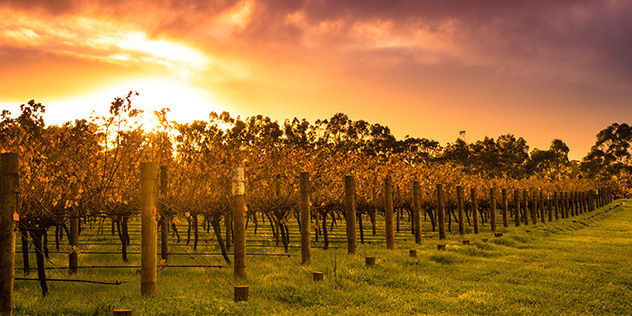 Margaret River wineries