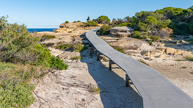 Foot track in Royal National Park