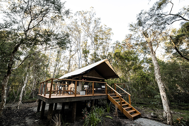 Paperbark Camp in Jervis Bay