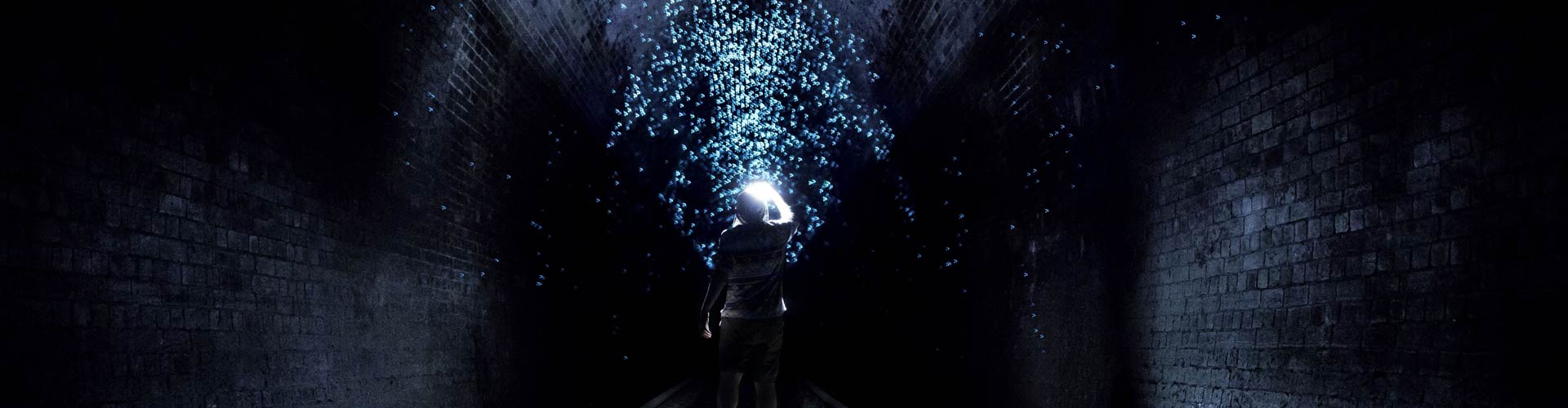 Glow worms in the old railway tunnel at Helensburgh, Illawarra