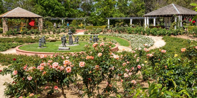 Statues of children in a rose garden 