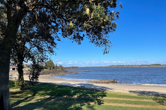 A sunny sandy bay surrounded by coastal banksia trees