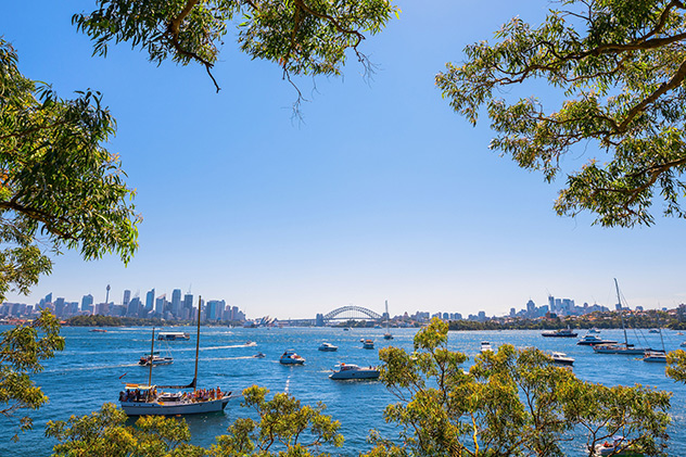 Sydney picnic