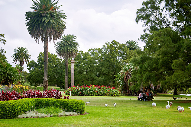 Sydney picnic