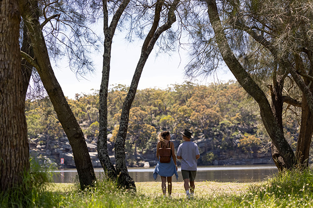 Sydney picnic