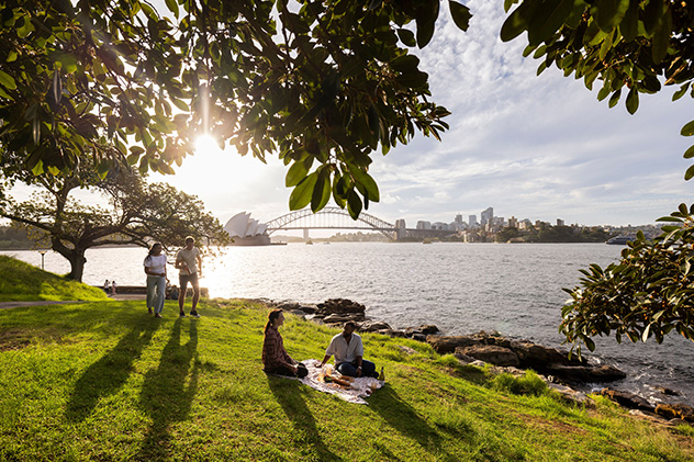 Sydney picnic