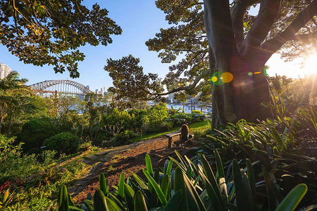 Sydney picnic