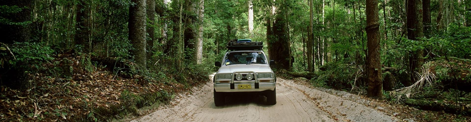 4WD rainforest road oncoming silver four-wheel drive vehicle driving through rainforest on a dirt road