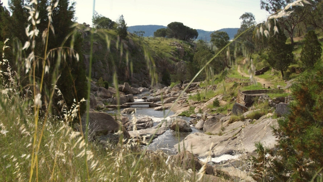 A sunlit, rocky creek bed surrounded by tall grassy hills, and trees. 