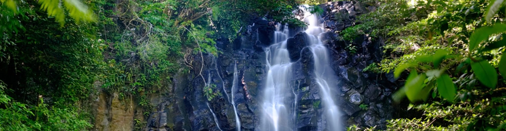 Atherton Tablelands QLD waterfall looking up at a waterfall cascading down dark rocks in a rainforest setting